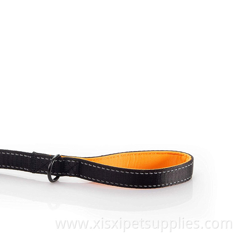 2 Padded Handles Dog Leash - Traffic Control Handle for Extra Control, 6 Foot Long - Perfect Leash for Medium to Large Dogs